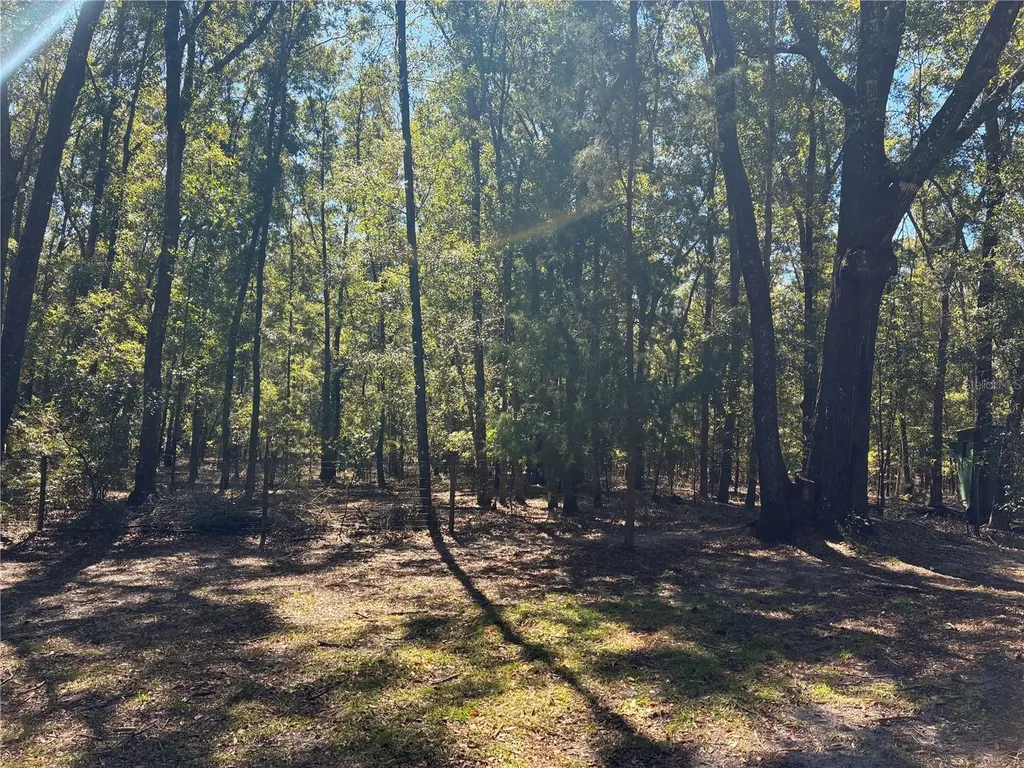19582 NW 212th Street High Springs FL 32643