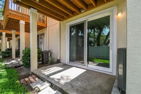 3183 Bayshore Oaks Drive Tampa FL 33611