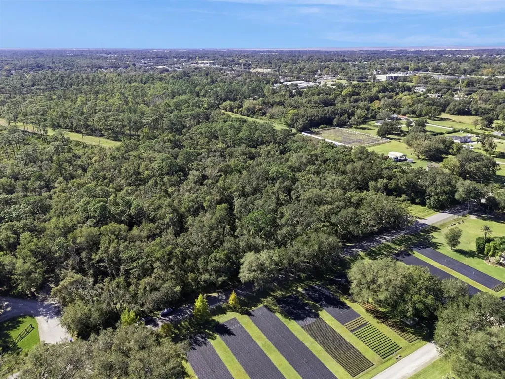 Faye Street Apopka FL 32712