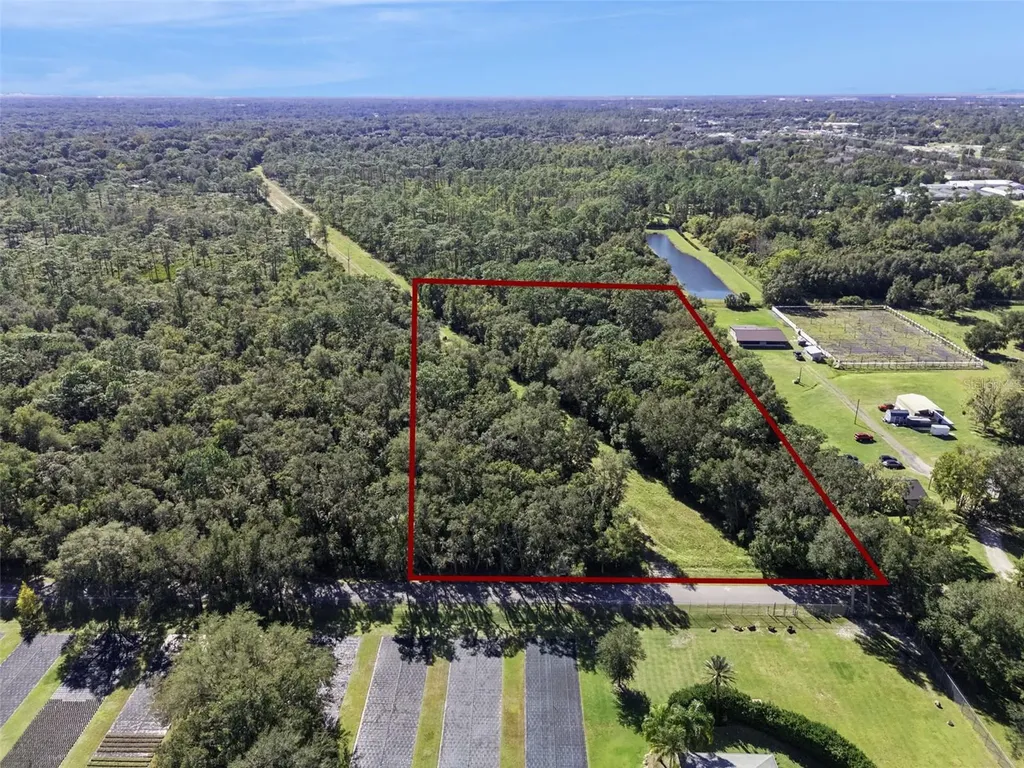 Faye Street Apopka FL 32712