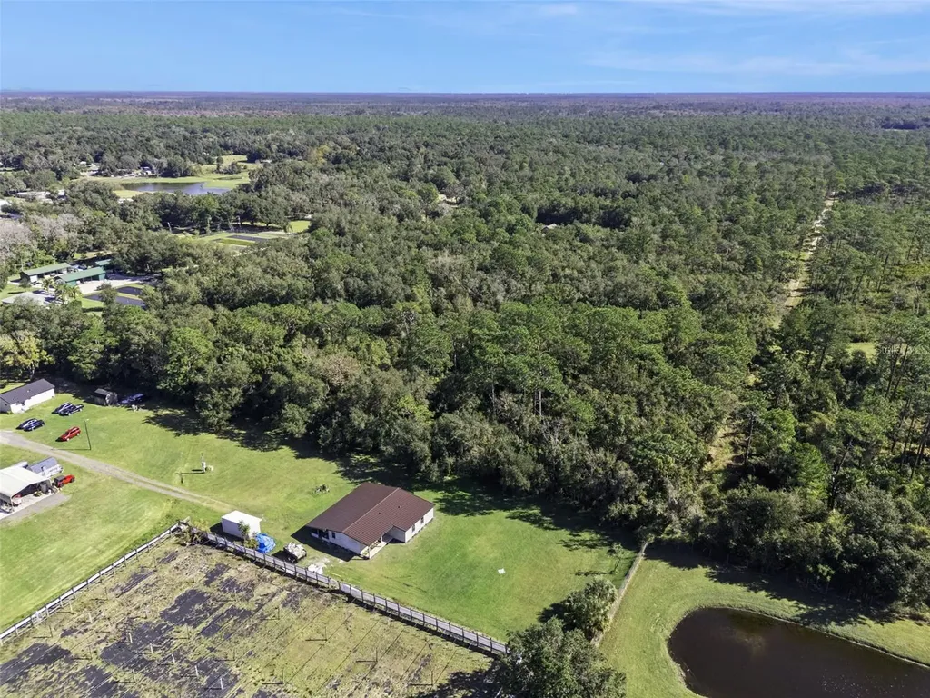 Faye Street Apopka FL 32712