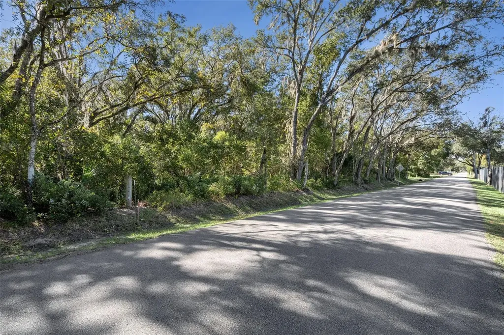 Faye Street Apopka FL 32712