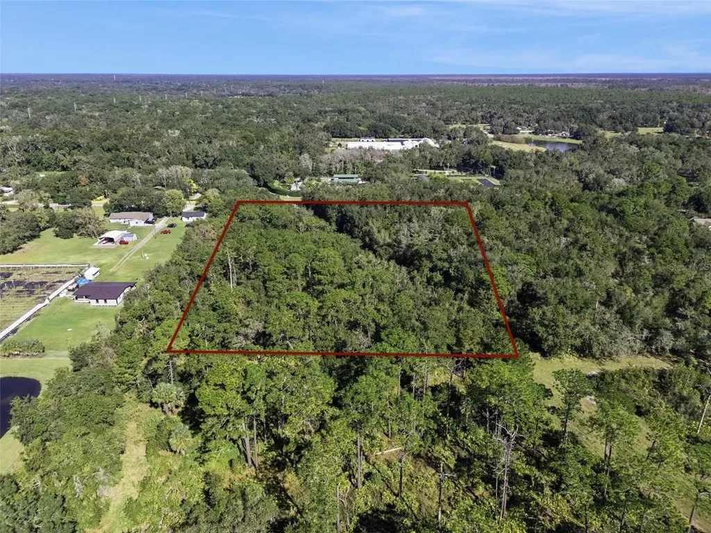 Faye Street Apopka FL 32712