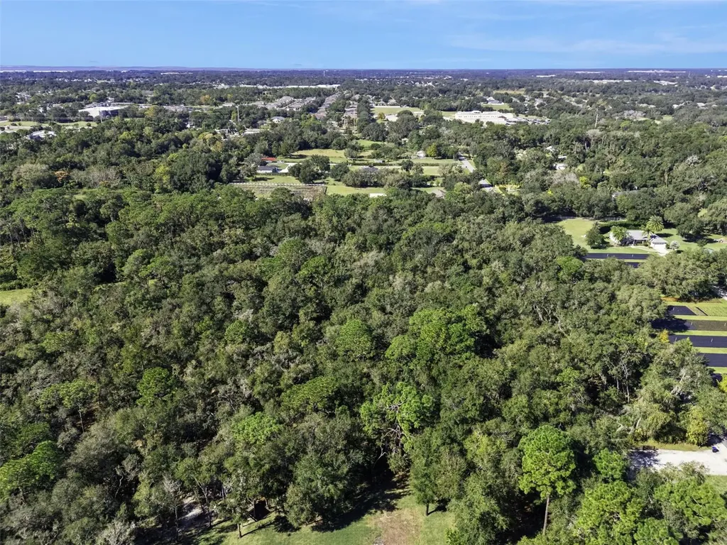 Faye Street Apopka FL 32712