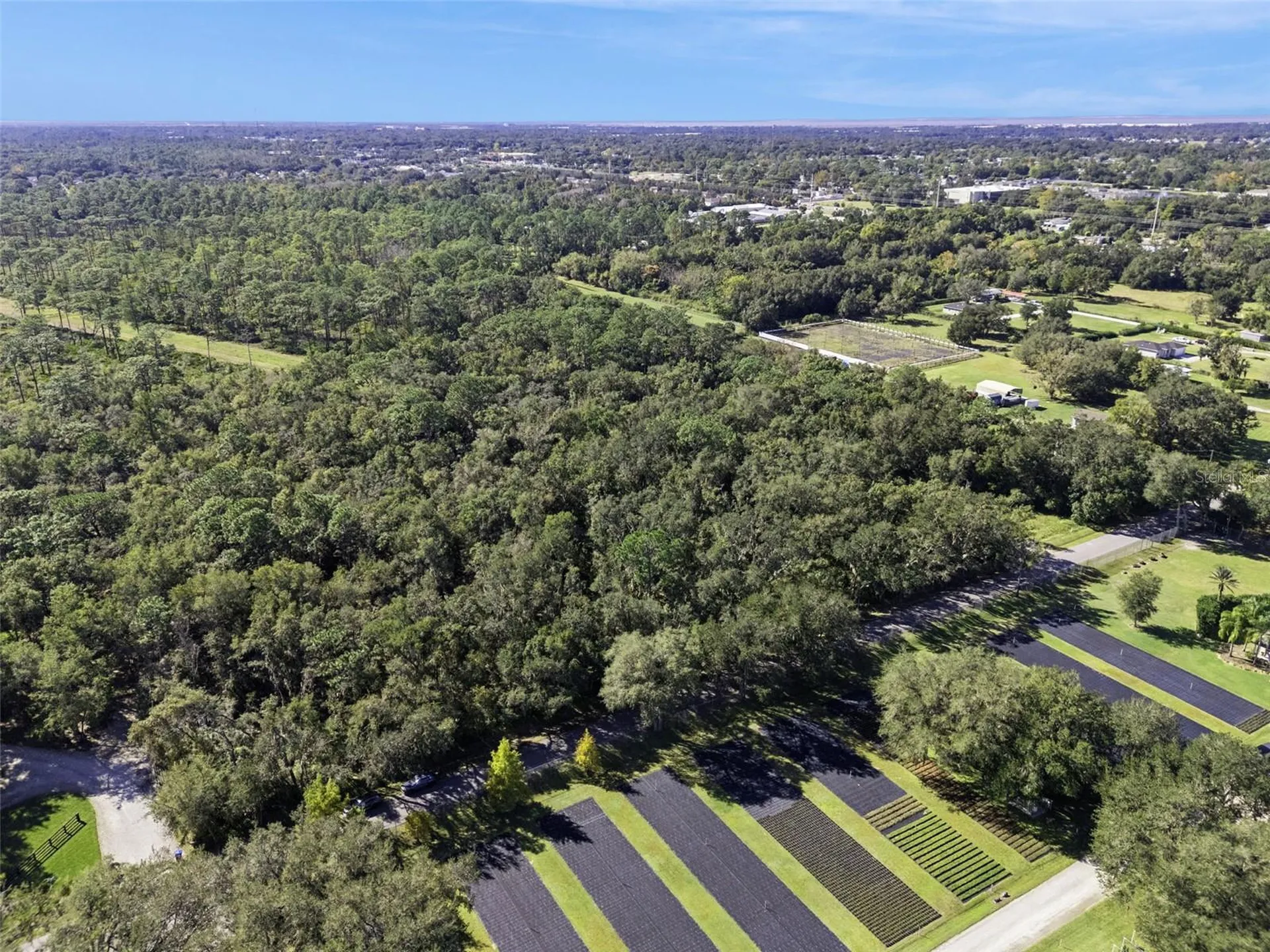 Faye Street Apopka FL 32712