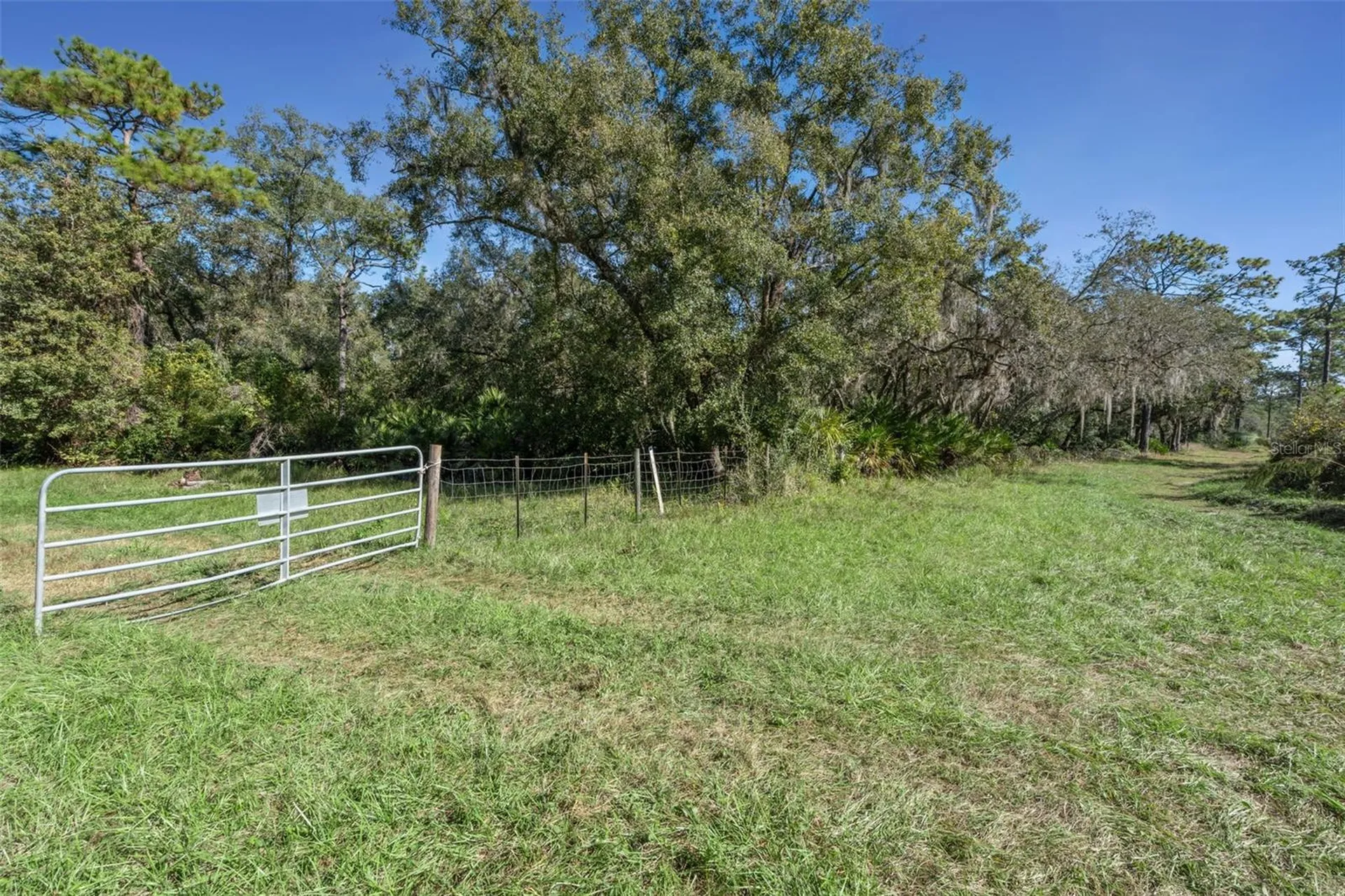 Faye Street Apopka FL 32712