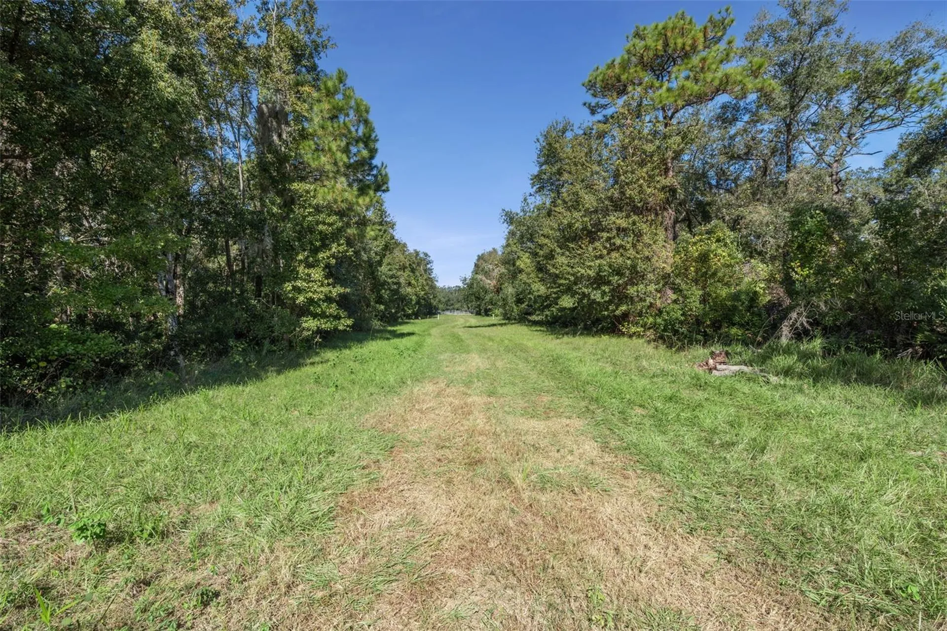 Faye Street Apopka FL 32712