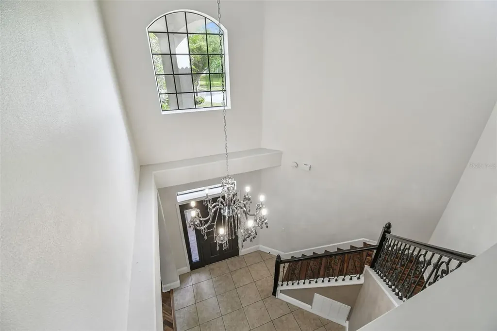 12803 Darby Ridge Drive Tampa FL 33624