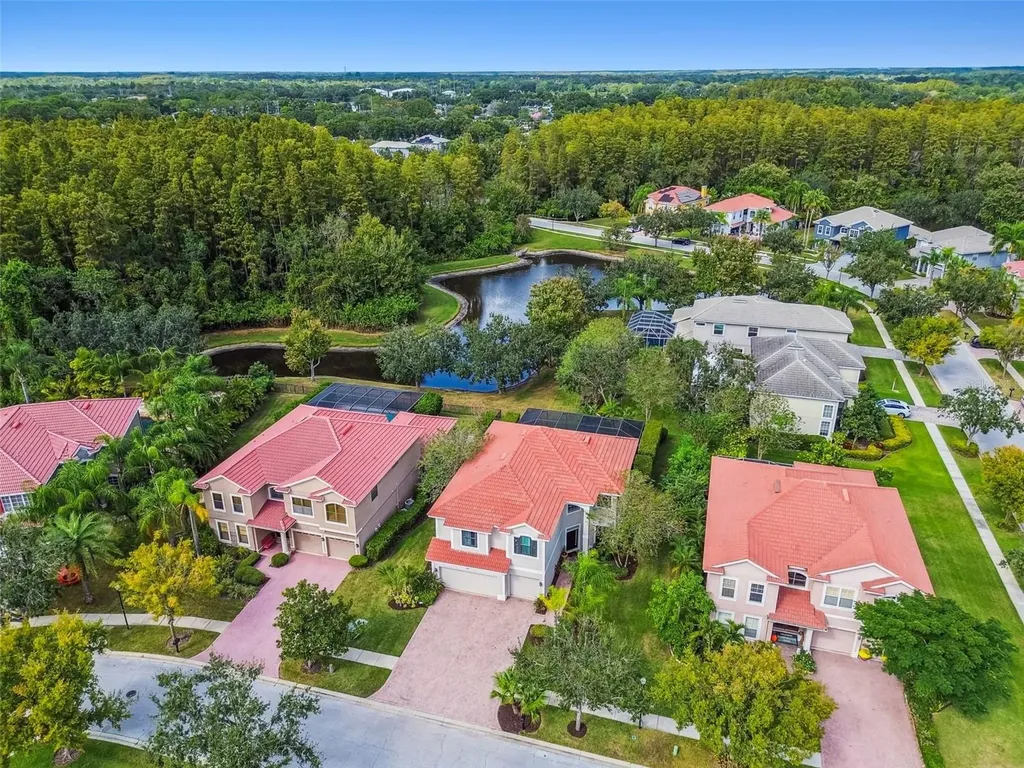 12803 Darby Ridge Drive Tampa FL 33624