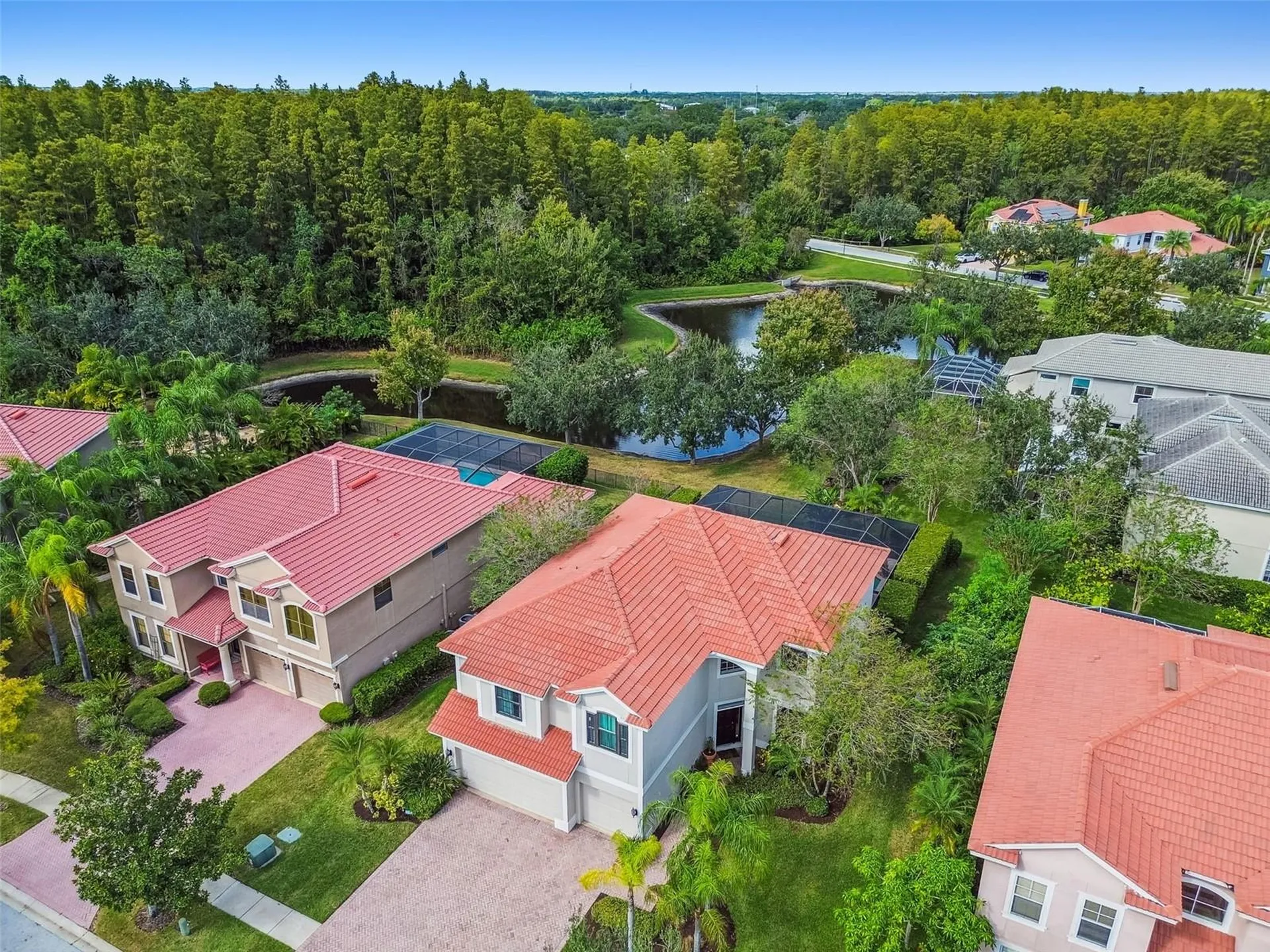 12803 Darby Ridge Drive Tampa FL 33624