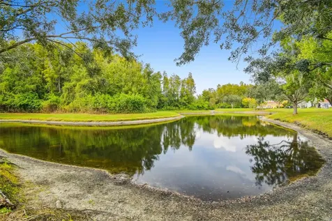 12803 Darby Ridge Drive Tampa FL 33624