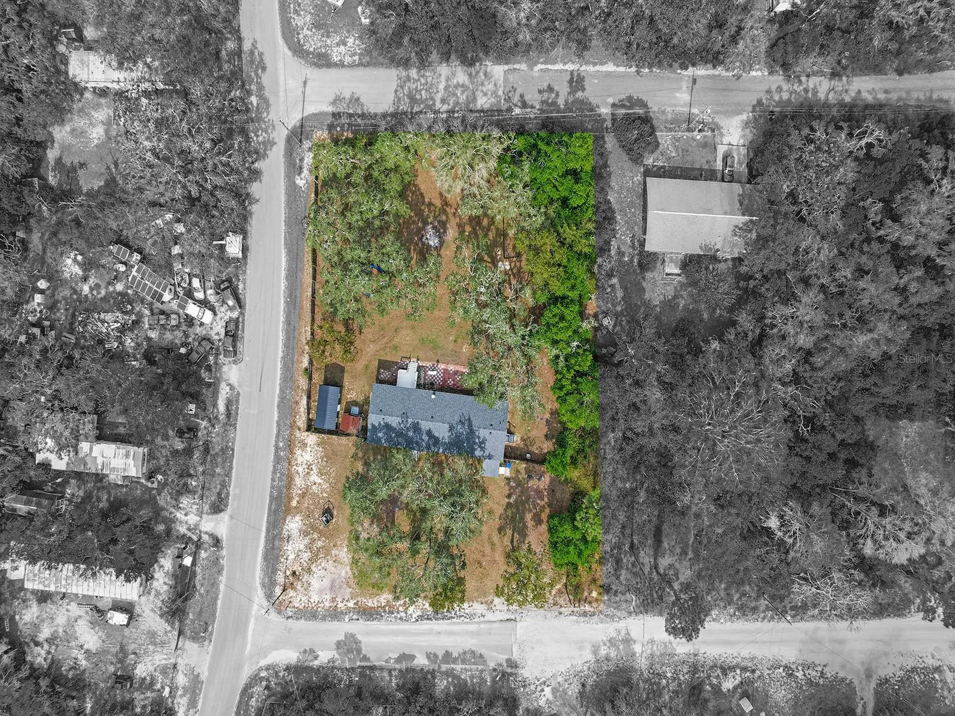 12845 Casa Bianca Avenue New Port Richey FL 34654
