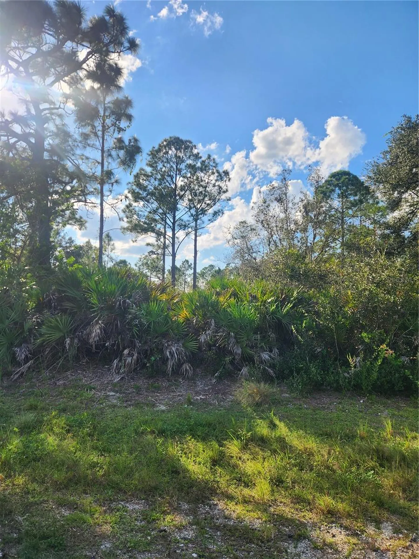 5101 San Juan Drive Sebring FL 33872