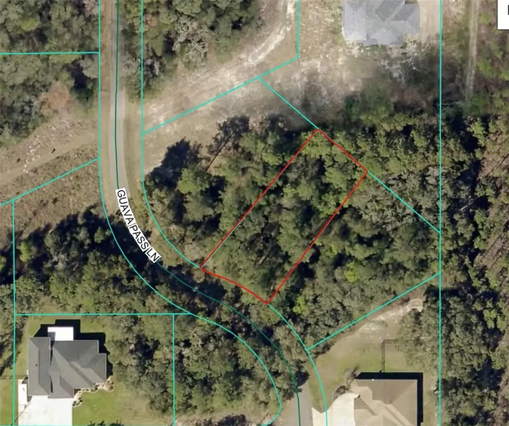 19 Guava Pass Lane Ocklawaha FL 32179
