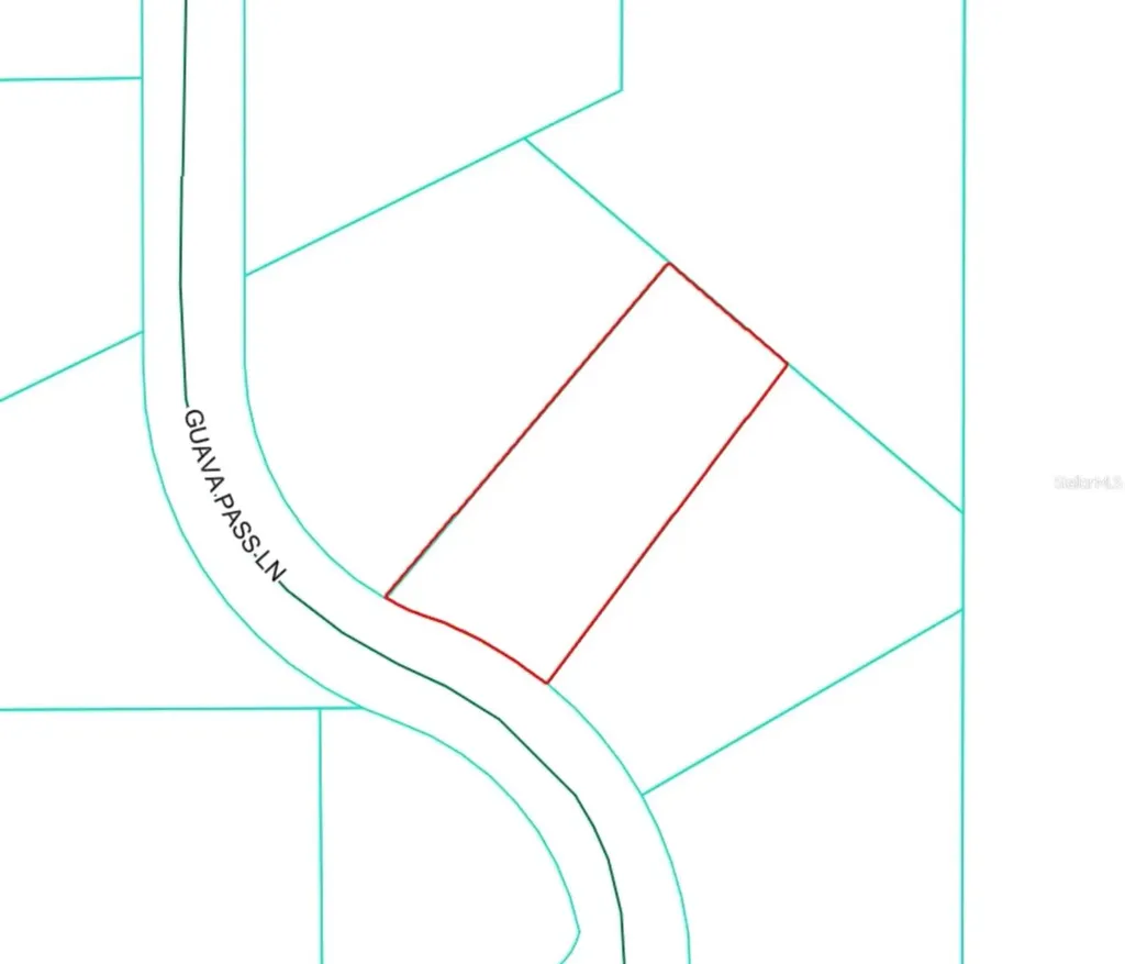 19 Guava Pass Lane Ocklawaha FL 32179