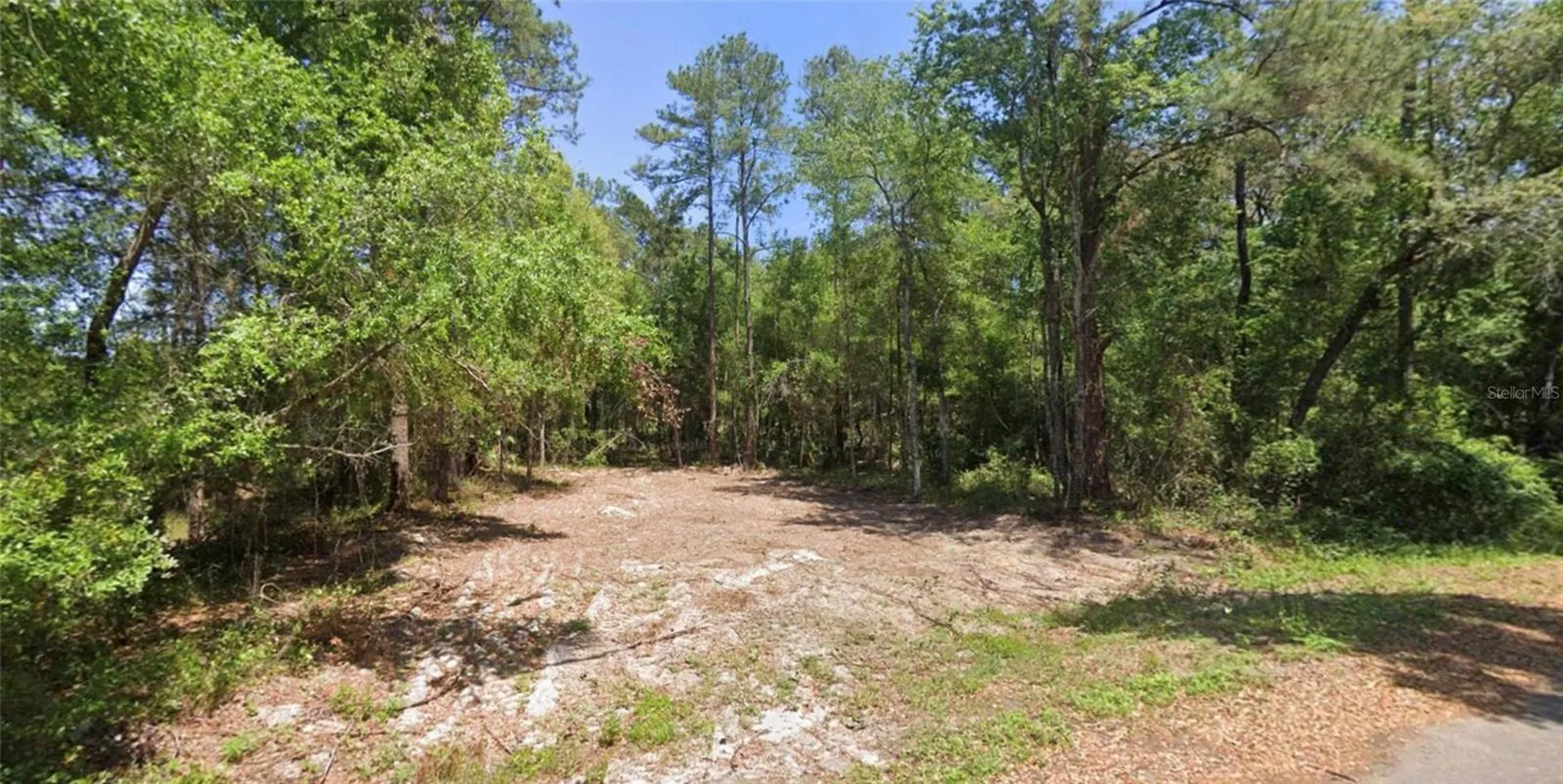 19 Guava Pass Lane Ocklawaha FL 32179