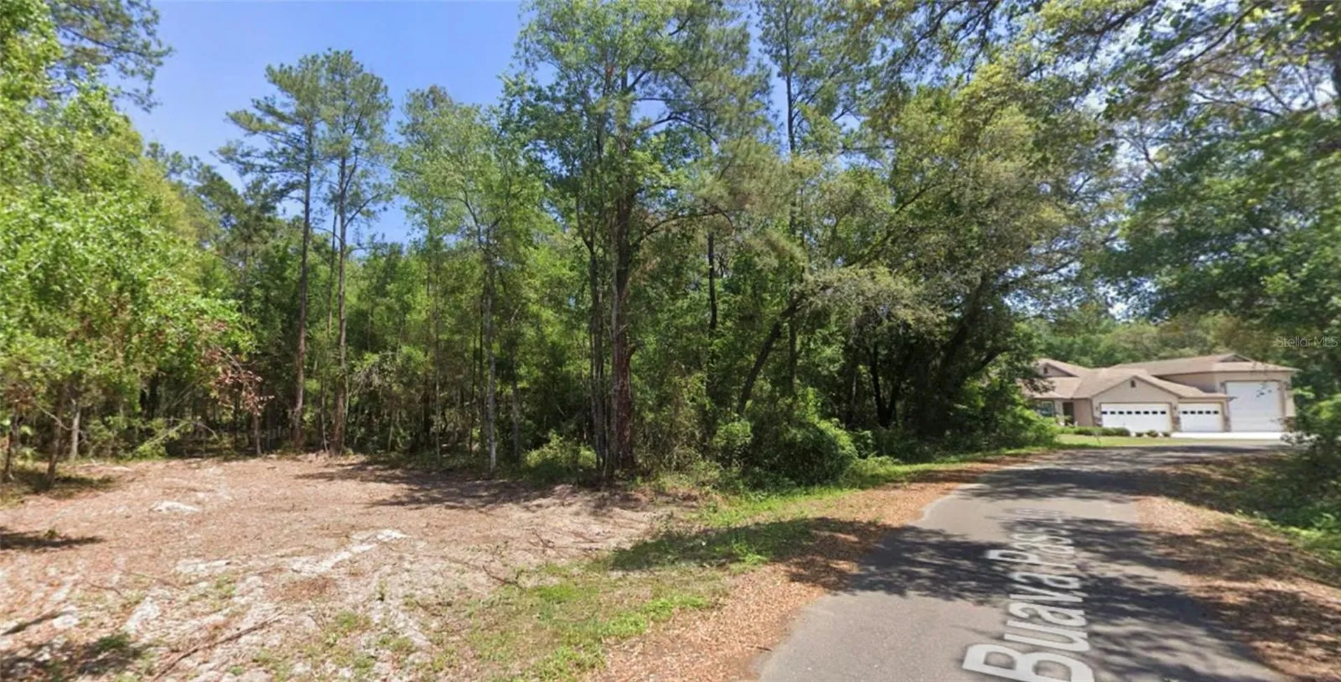 19 Guava Pass Lane Ocklawaha FL 32179