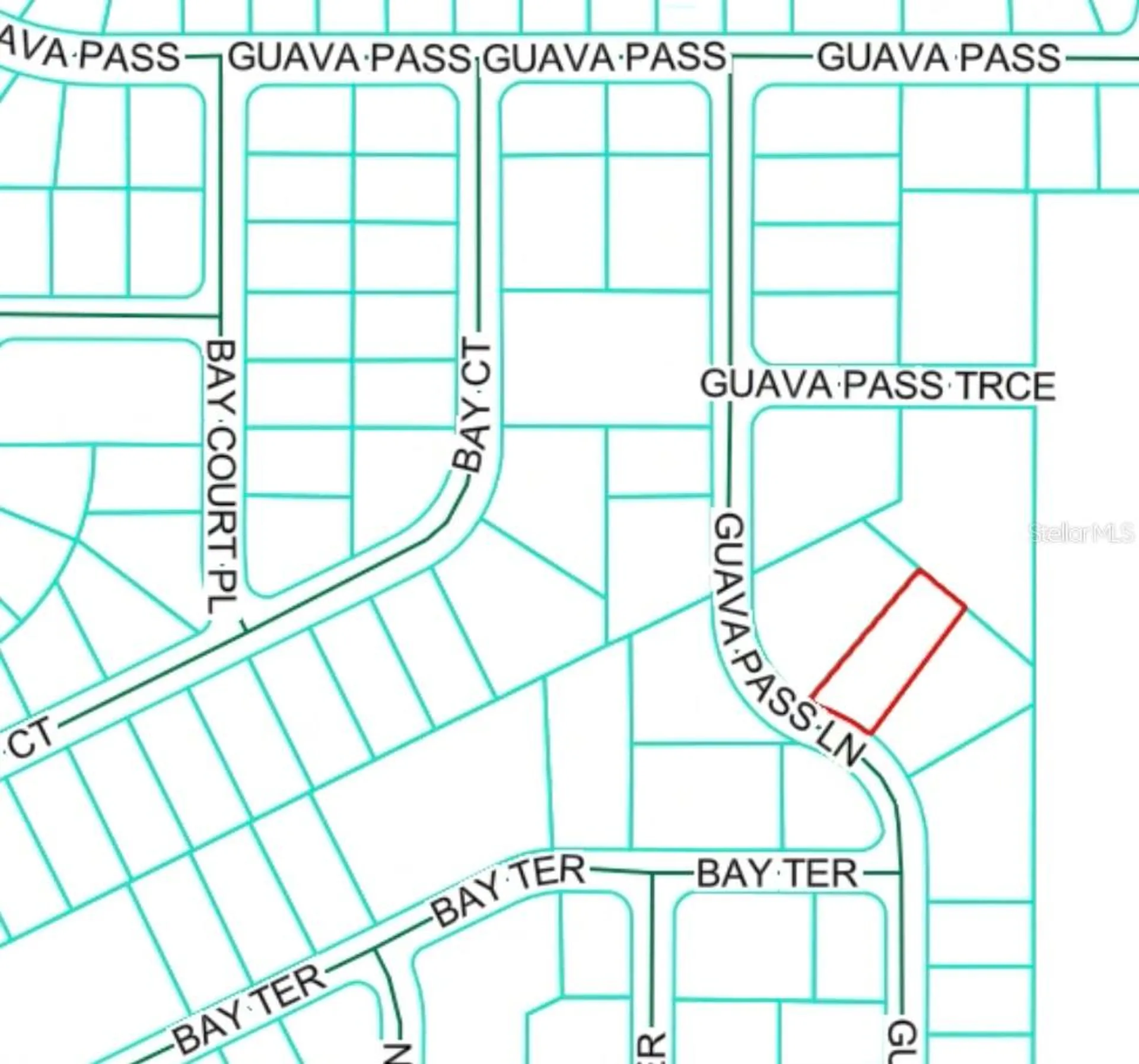 19 Guava Pass Lane Ocklawaha FL 32179