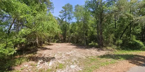 19 Guava Pass Lane Ocklawaha FL 32179