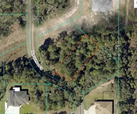 19 Guava Pass Lane Ocklawaha FL 32179