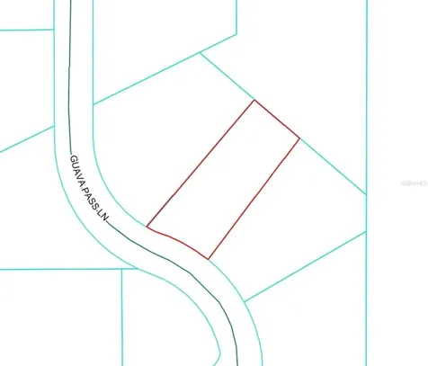 19 Guava Pass Lane Ocklawaha FL 32179