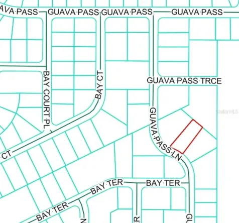 19 Guava Pass Lane Ocklawaha FL 32179