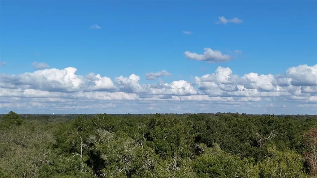 8735 Cr 631a Bushnell FL 33513