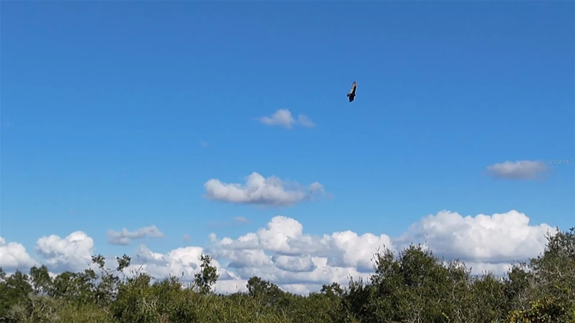 8735 Cr 631a Bushnell FL 33513