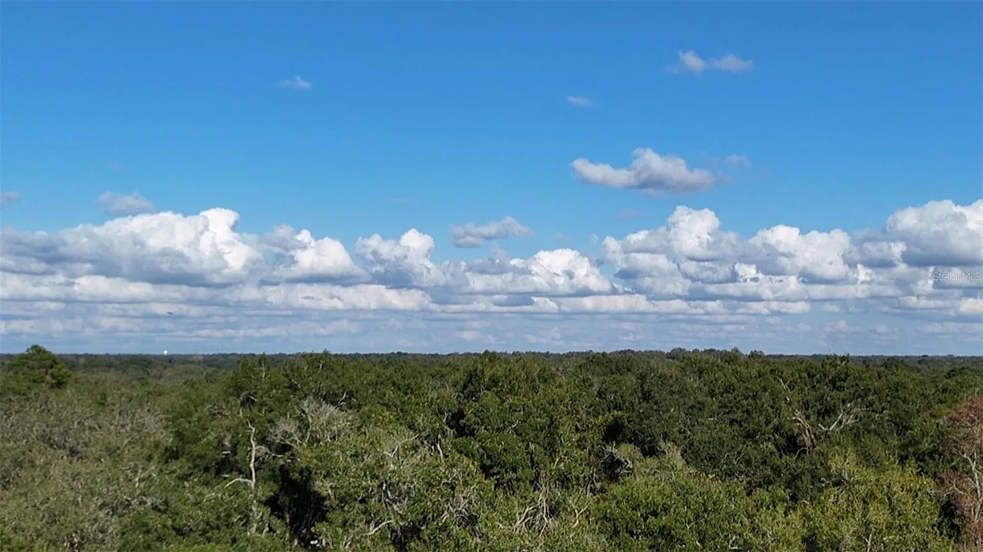 8735 Cr 631a Bushnell FL 33513