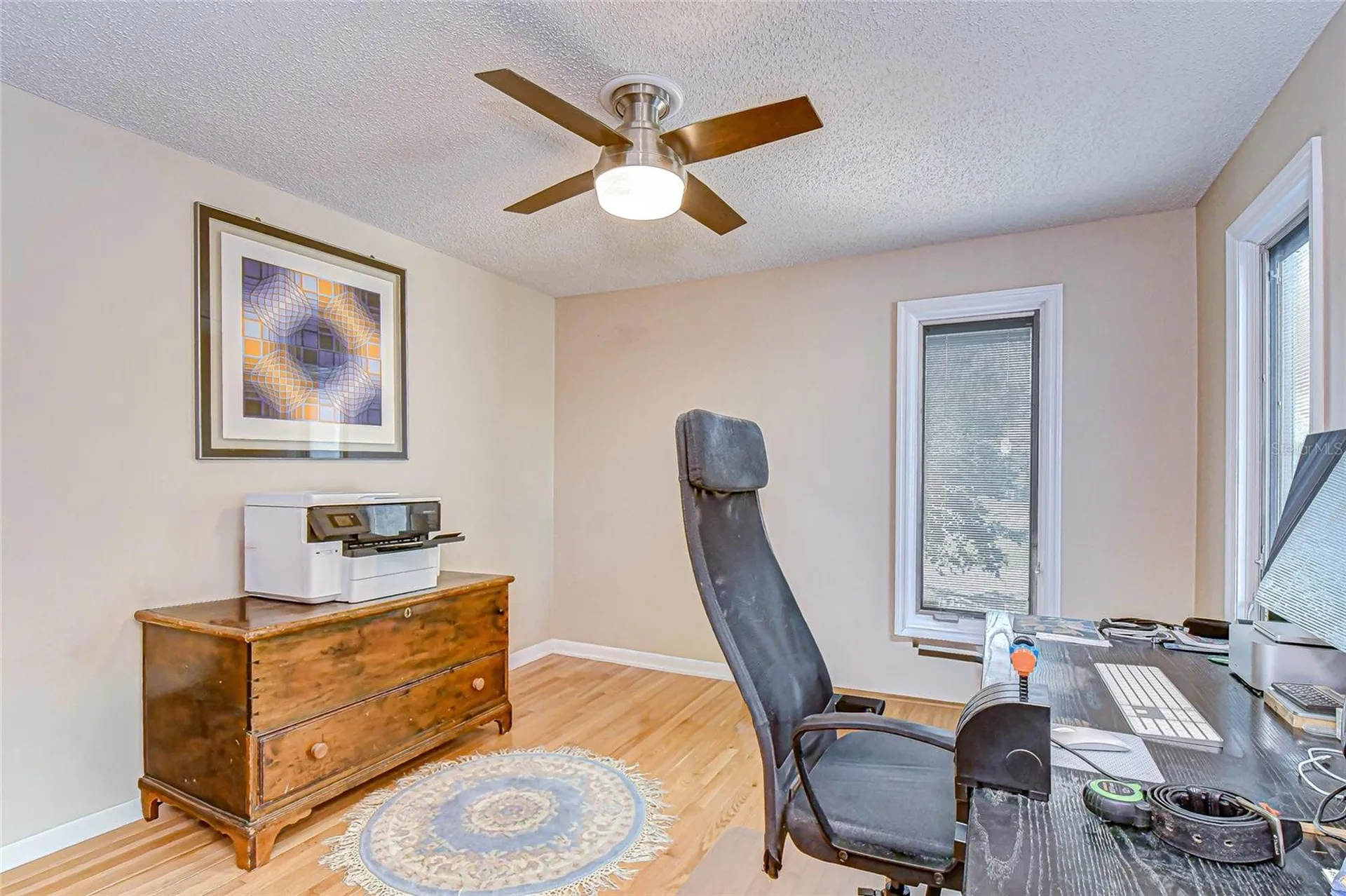3805 Bell Grande Drive Valrico FL 33596