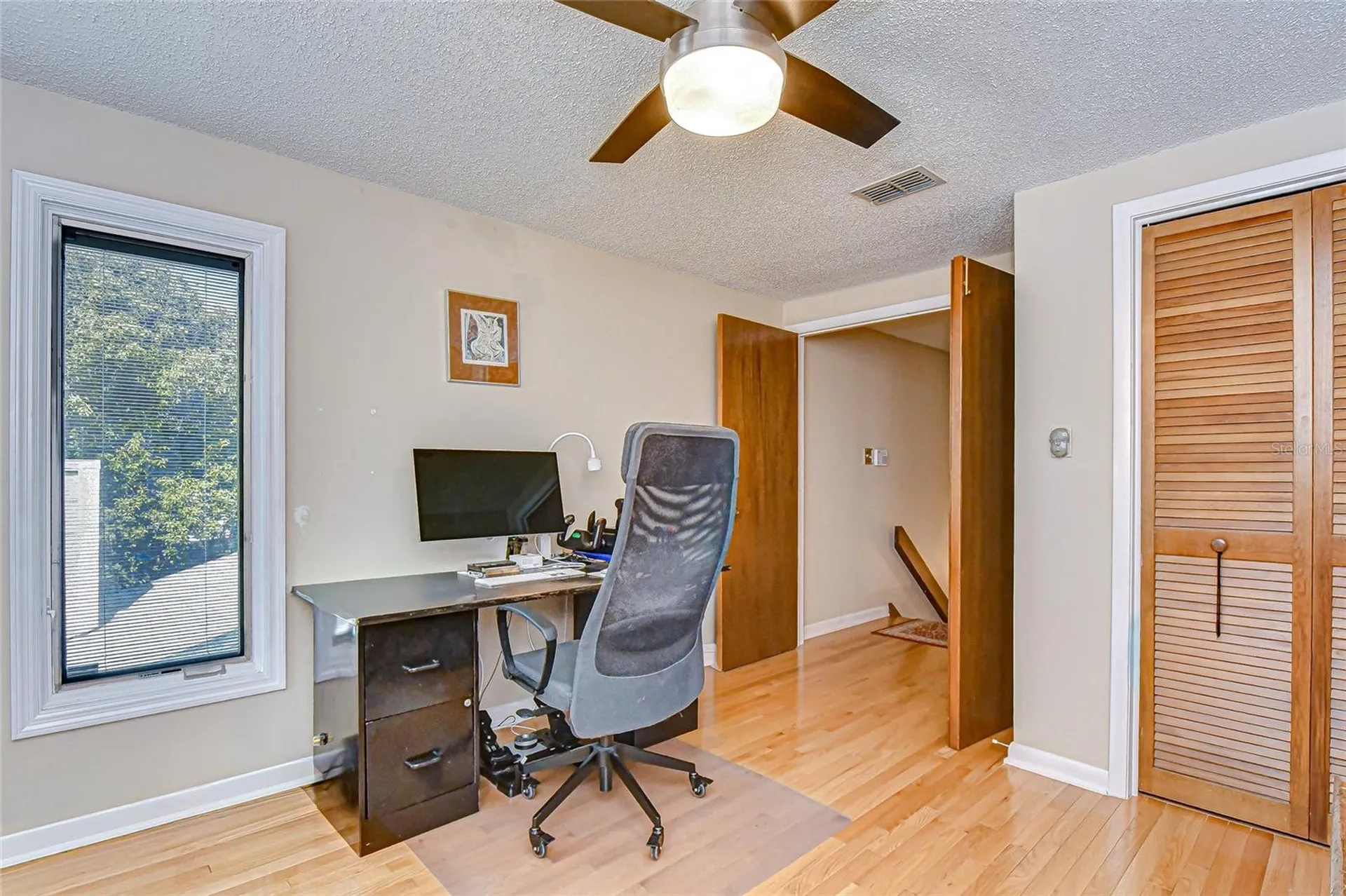 3805 Bell Grande Drive Valrico FL 33596
