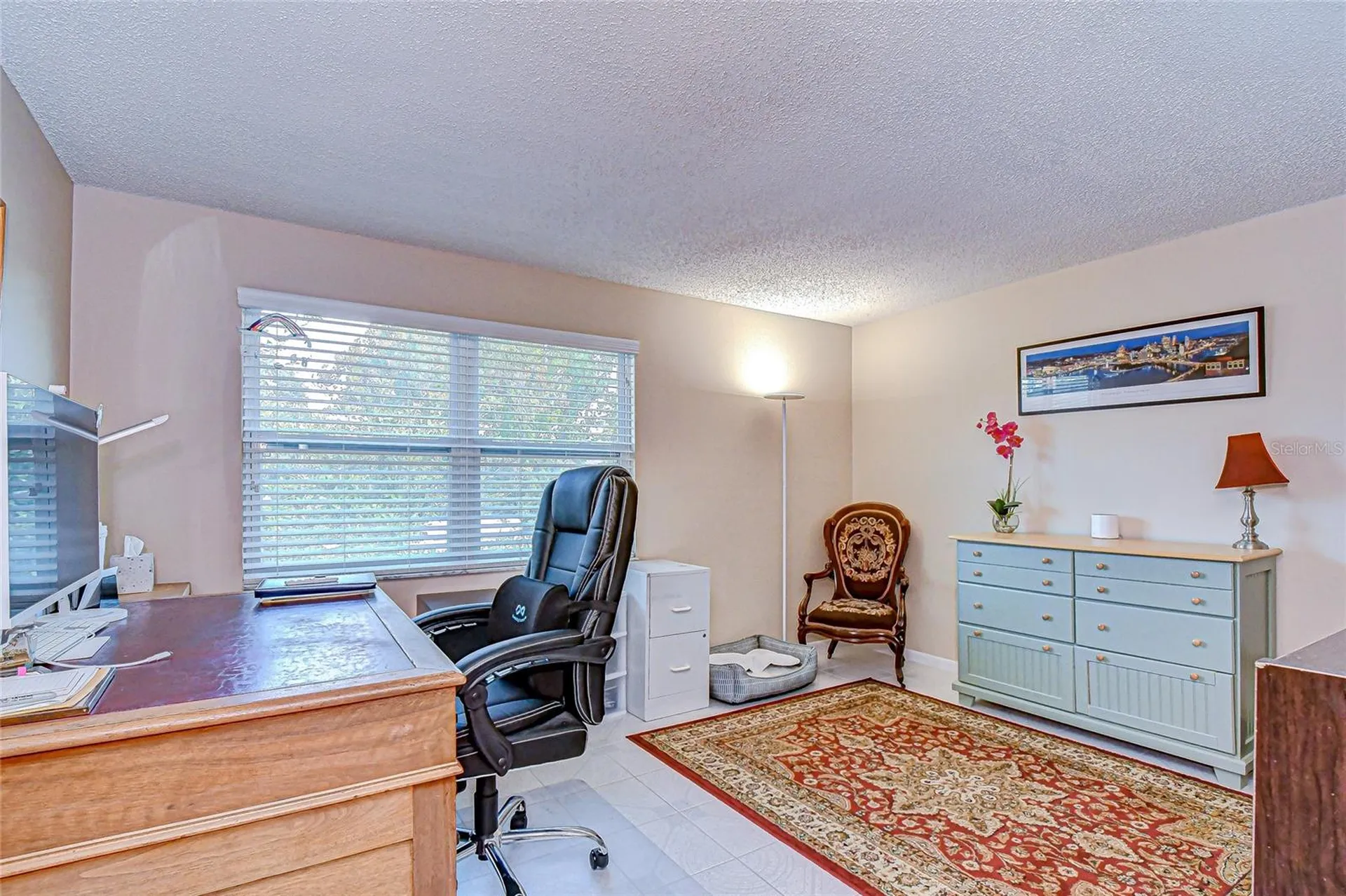 3805 Bell Grande Drive Valrico FL 33596