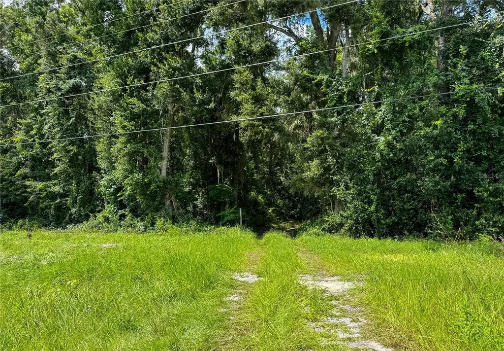 7906 SW County Road 346 Archer FL 32618