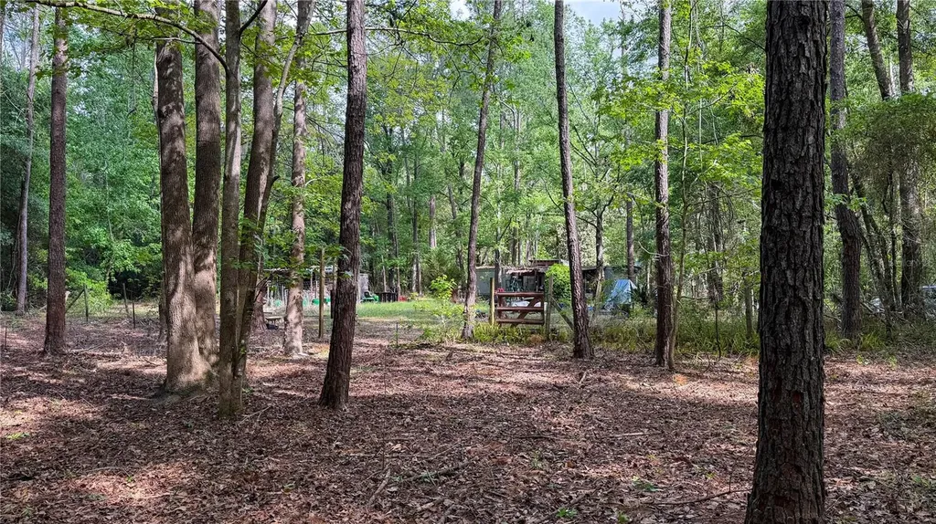 7906 SW County Road 346 Archer FL 32618