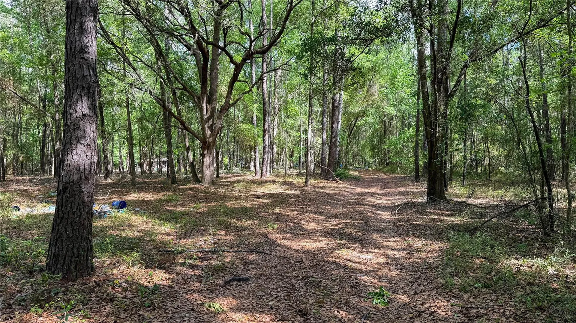 7906 SW County Road 346 Archer FL 32618