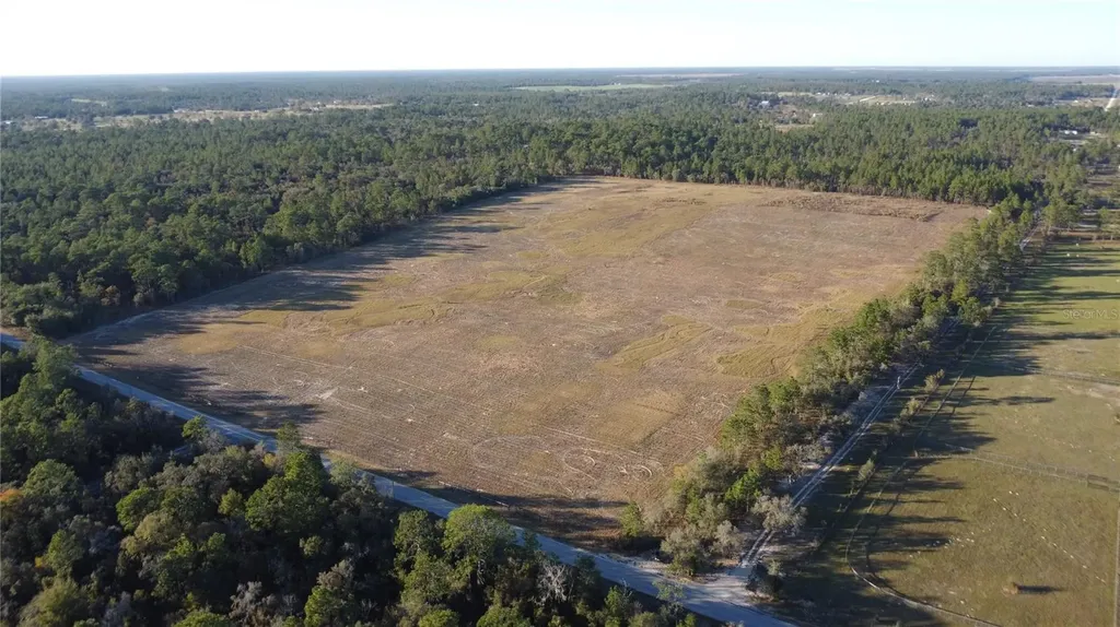 14231 SE 80th Street Morriston FL 32668