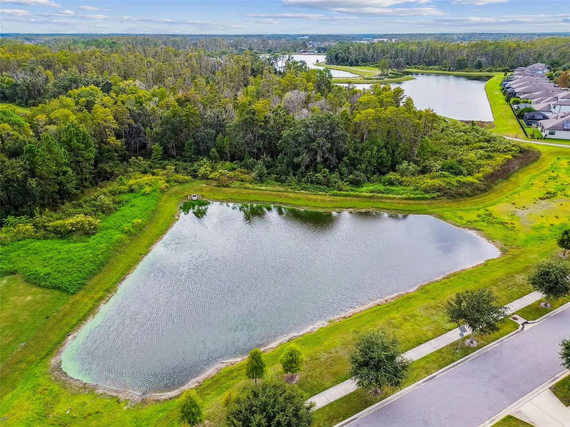 3979 Mellon Drive Odessa FL 33556