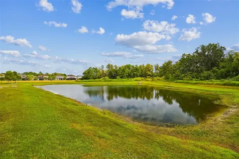 3979 Mellon Drive Odessa FL 33556