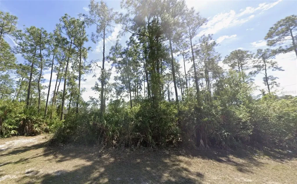2904 E 9th Street Lehigh Acres FL 33972