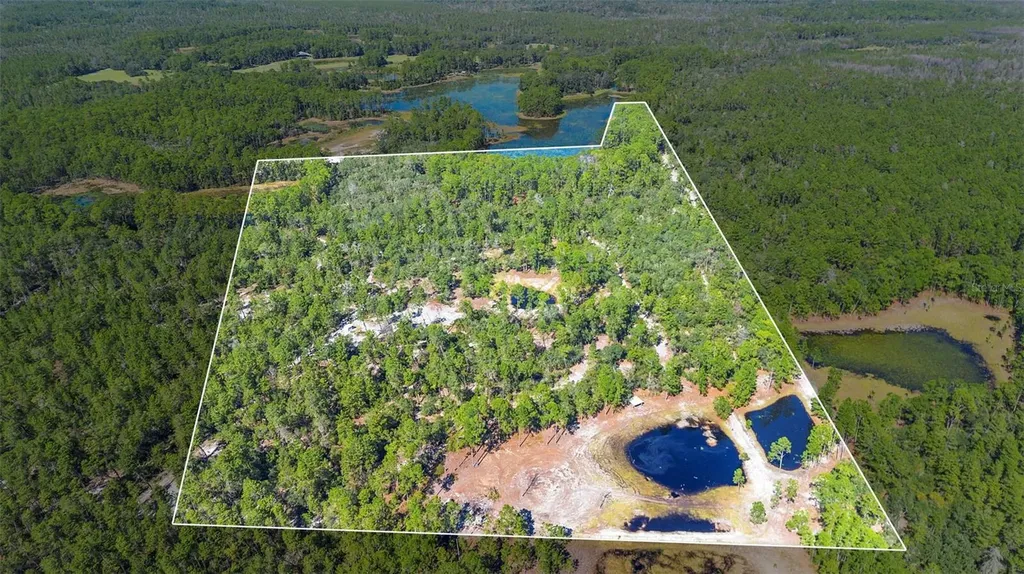 Deep Woods Road Paisley FL 32767