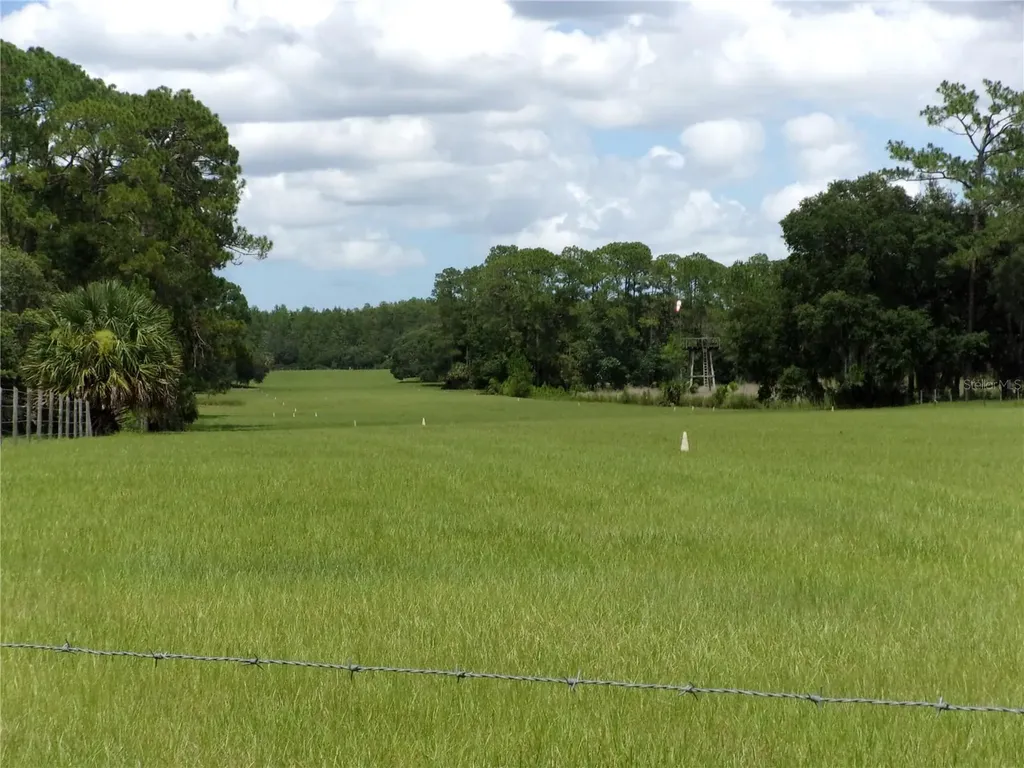 Deep Woods Road Paisley FL 32767