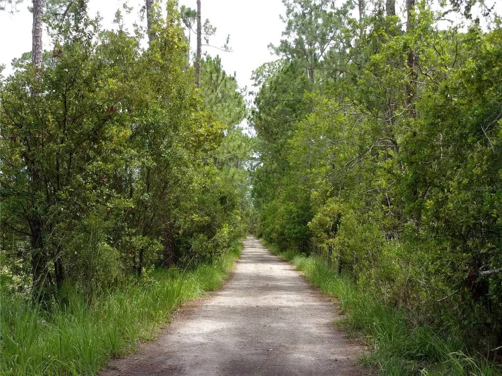 Deep Woods Road Paisley FL 32767