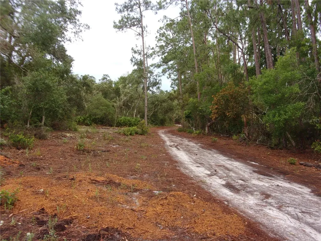 Deep Woods Road Paisley FL 32767