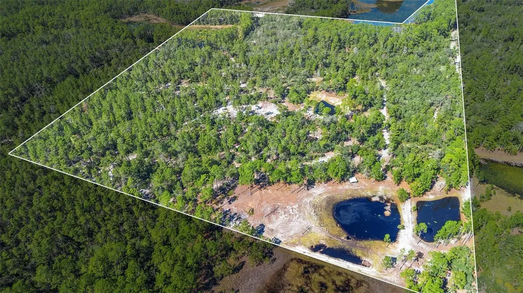 Deep Woods Road Paisley FL 32767