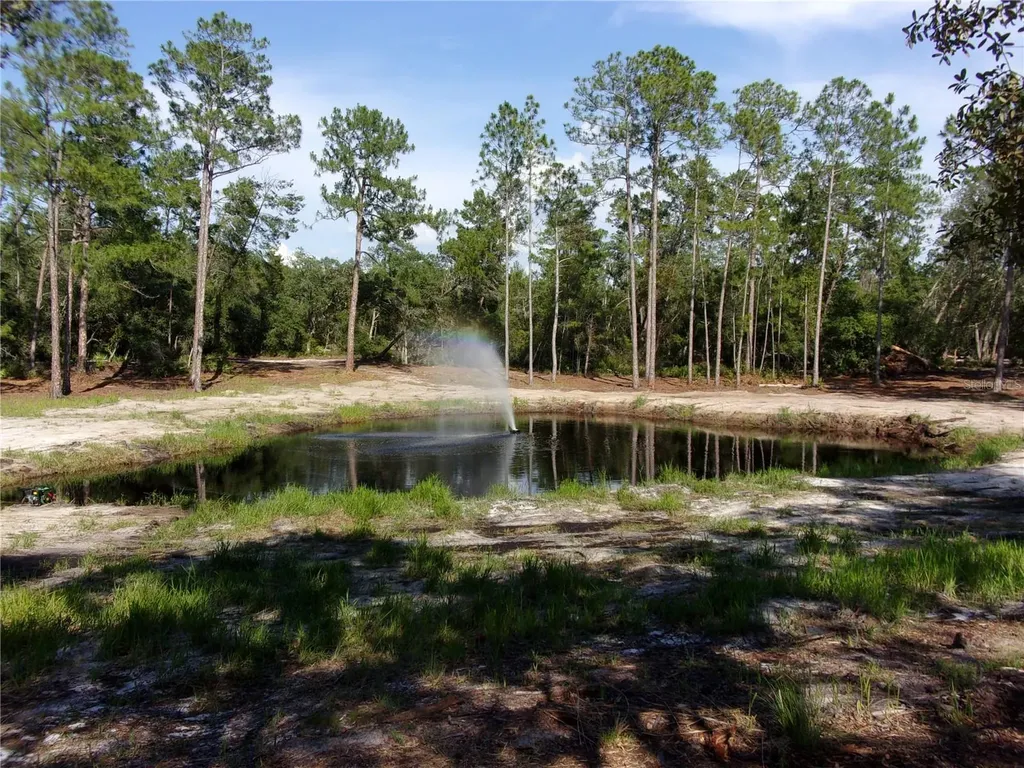 Deep Woods Road Paisley FL 32767