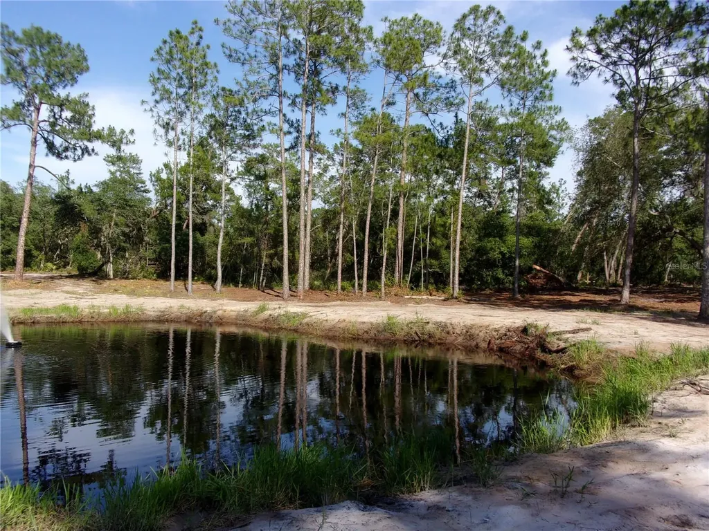 Deep Woods Road Paisley FL 32767