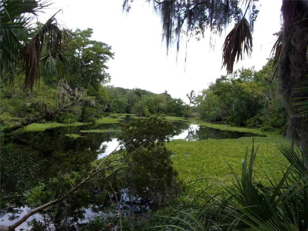 Deep Woods Road Paisley FL 32767