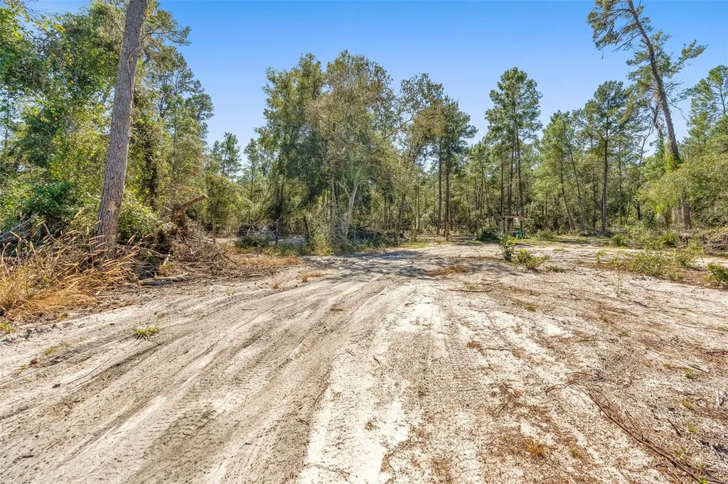 Deep Woods Road Paisley FL 32767