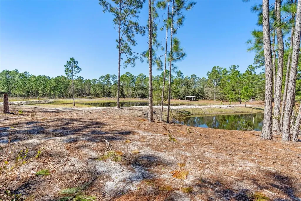 Deep Woods Road Paisley FL 32767