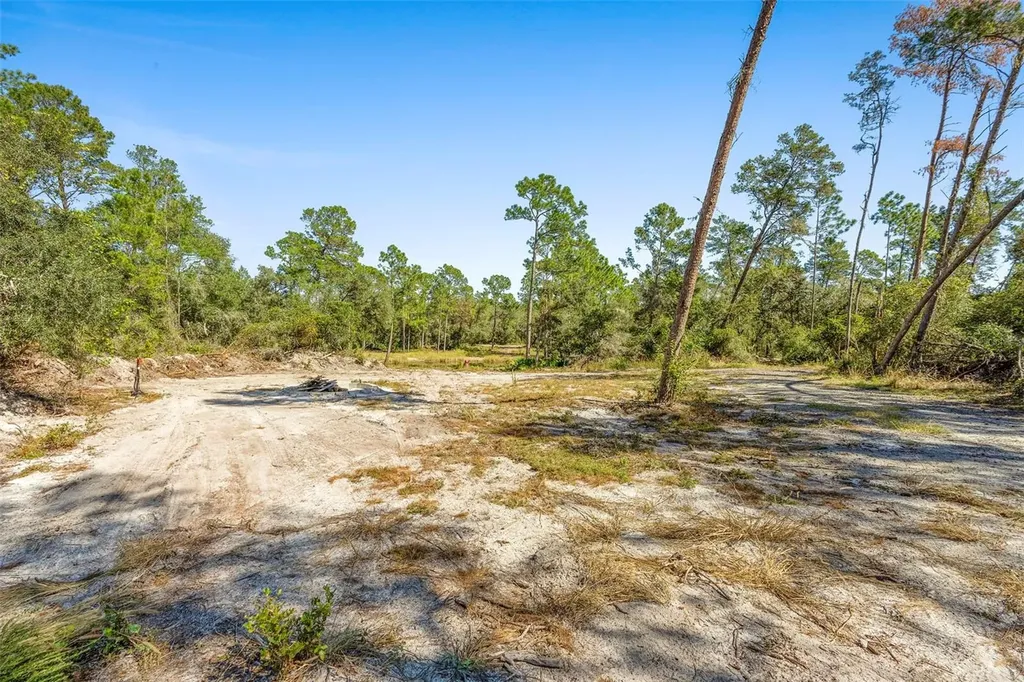 Deep Woods Road Paisley FL 32767
